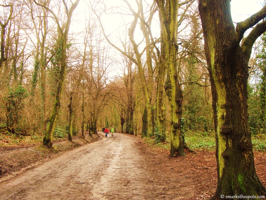 hampstead_heath_london_01