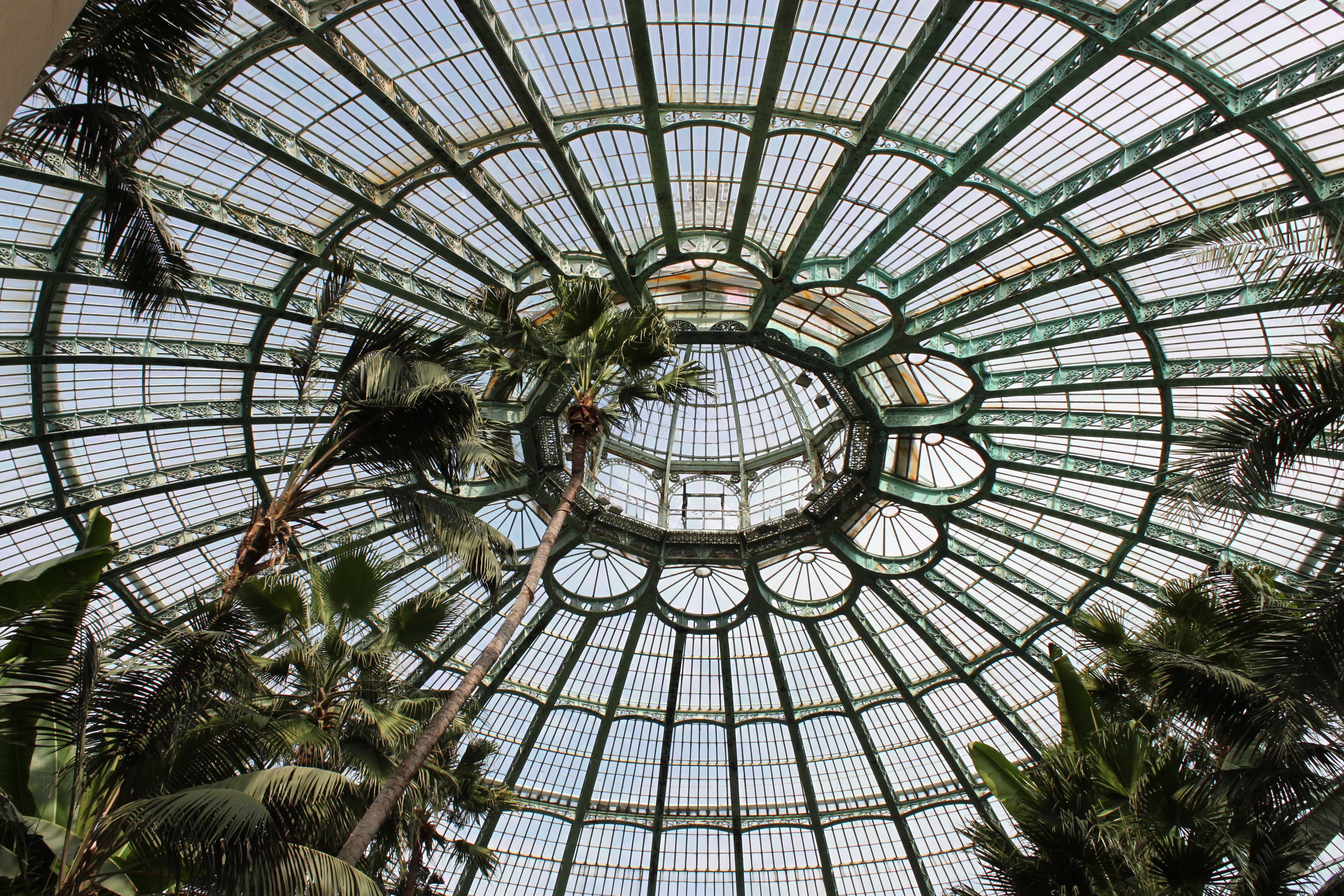 Royal Greenhouses, Laeken, Belgium - S Marks The Spots Blog