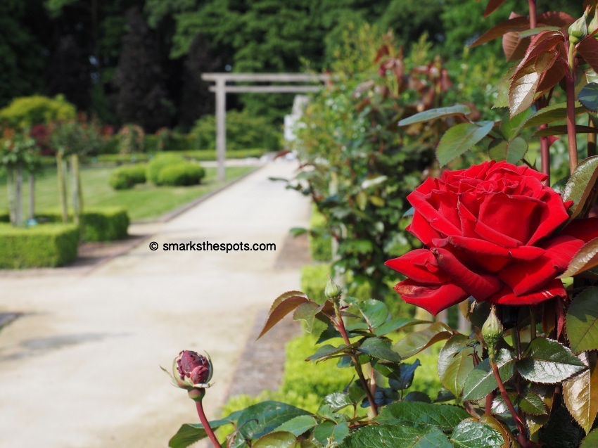 coloma_rose_garden_belgium_smarksthespots_blog_03