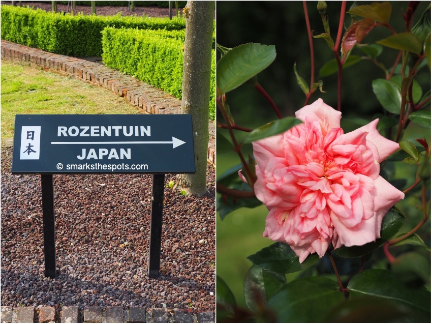coloma_rose_garden_belgium_smarksthespots_blog_04