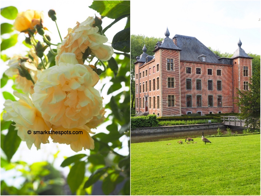 Coloma Rose Garden, Belgium - S Marks The Spots Blog