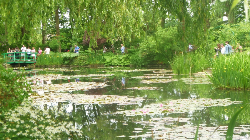 Monet Garden, Giverny - S Marks The Spots Blog