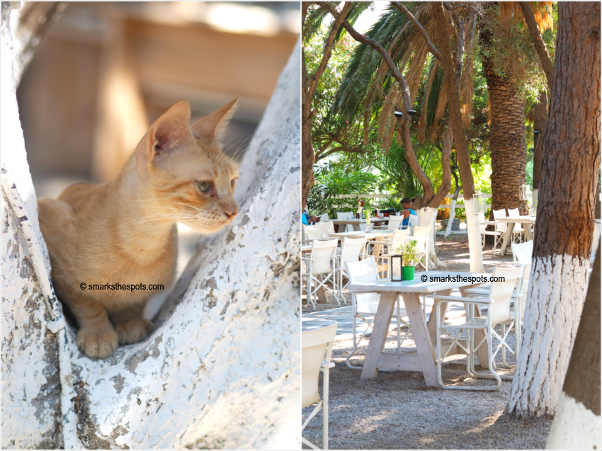 cine_manto_greece_mykonos_smarksthespots_blog_09