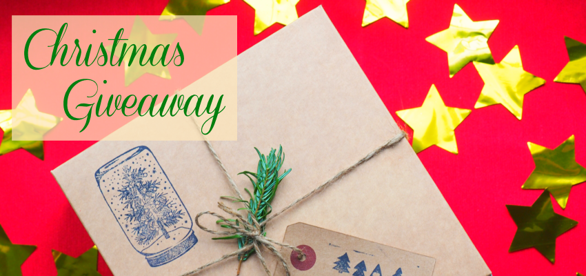 Christmas Giveaway - S Marks The Spots Blog