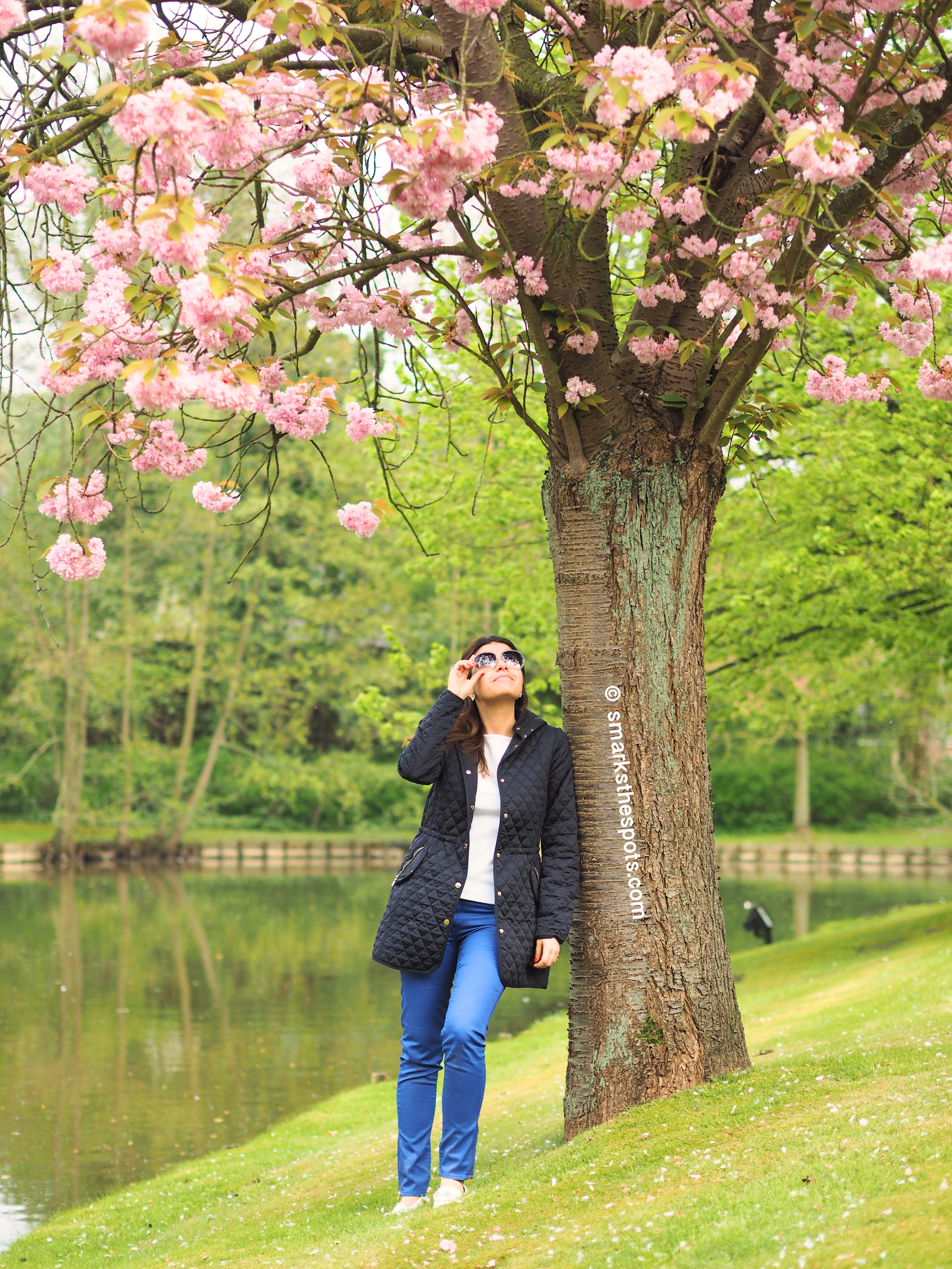 Cherry Blossom Girl - S Marks The Spots Blog