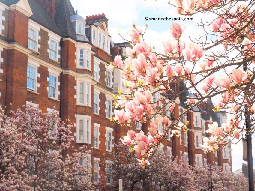 London in Bloom - S Marks The Spots Blog