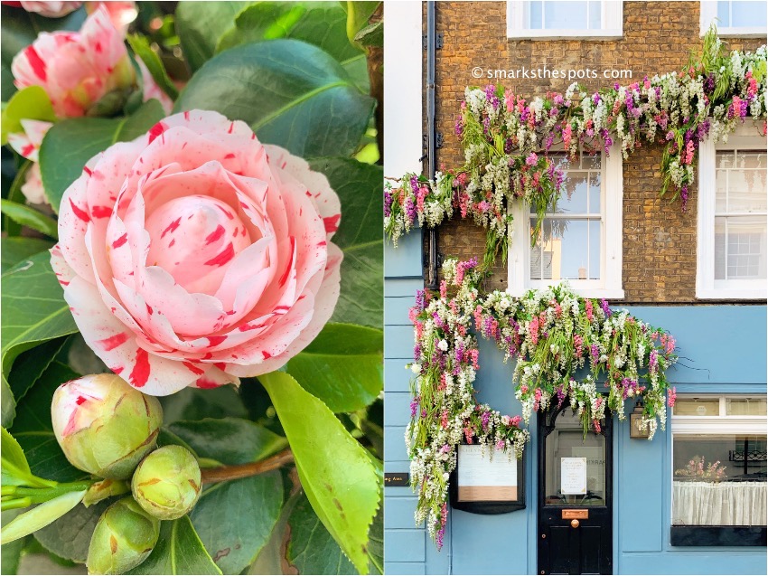 London in Bloom - S Marks The Spots Blog