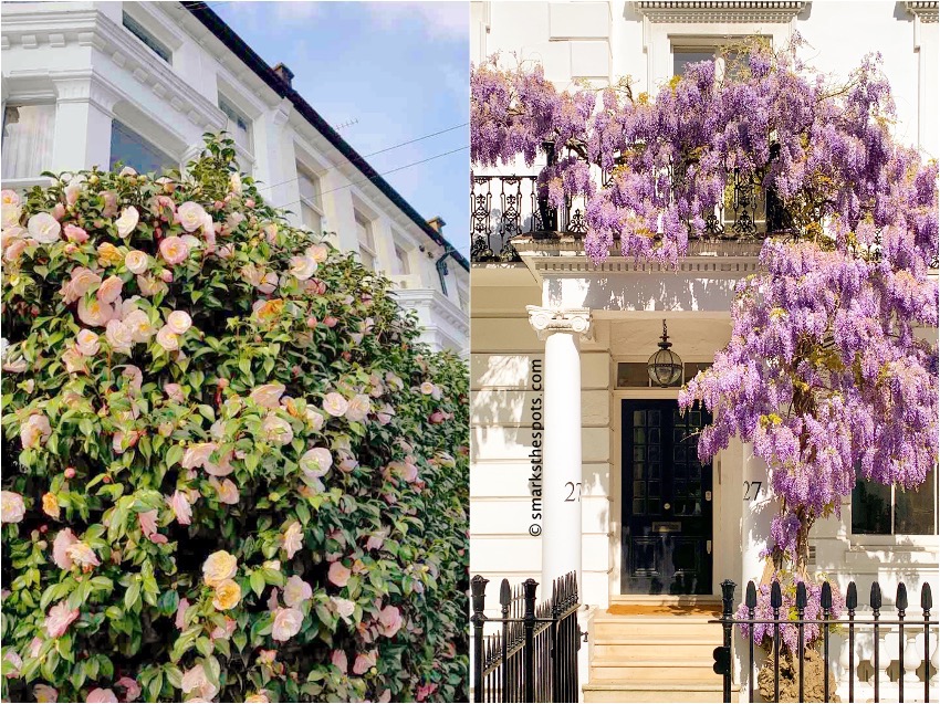 London in Bloom - S Marks The Spots Blog